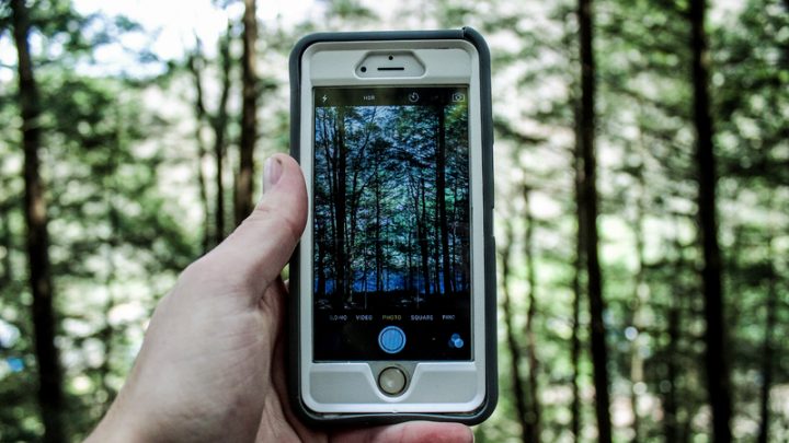 smartphone forêt recyclage déchets électroniques
